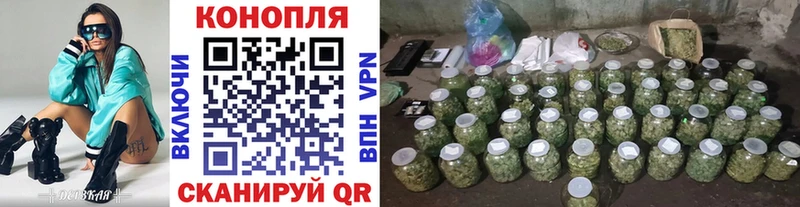 Где можно купить наркотики Задонск ГАШ Псилоцибиновые грибы АМФ Каннабис Мефедрон COCAIN